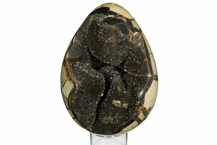 Septarian Dragon Egg Geode - Black Crystals #157896